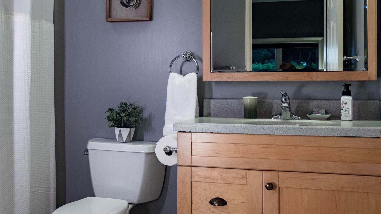 Photo of Bathroom in Asheville