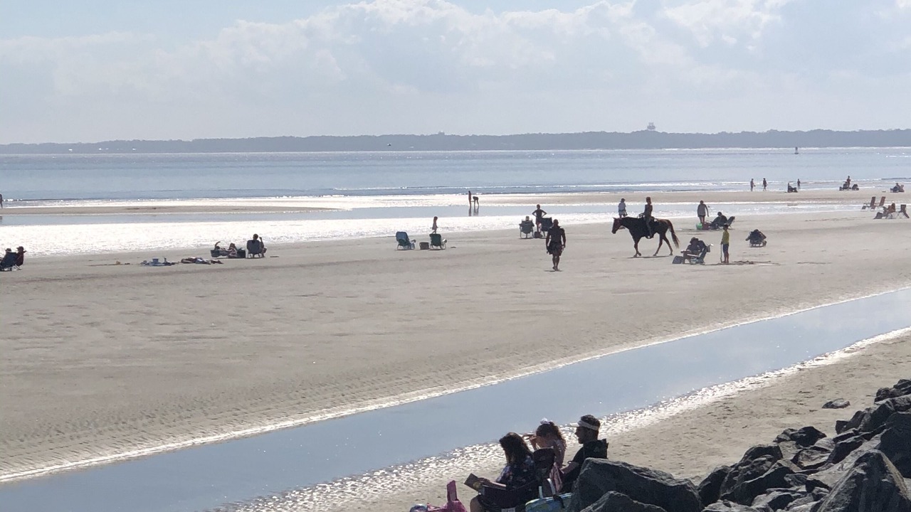 Photo of Others in Saint Simons Island