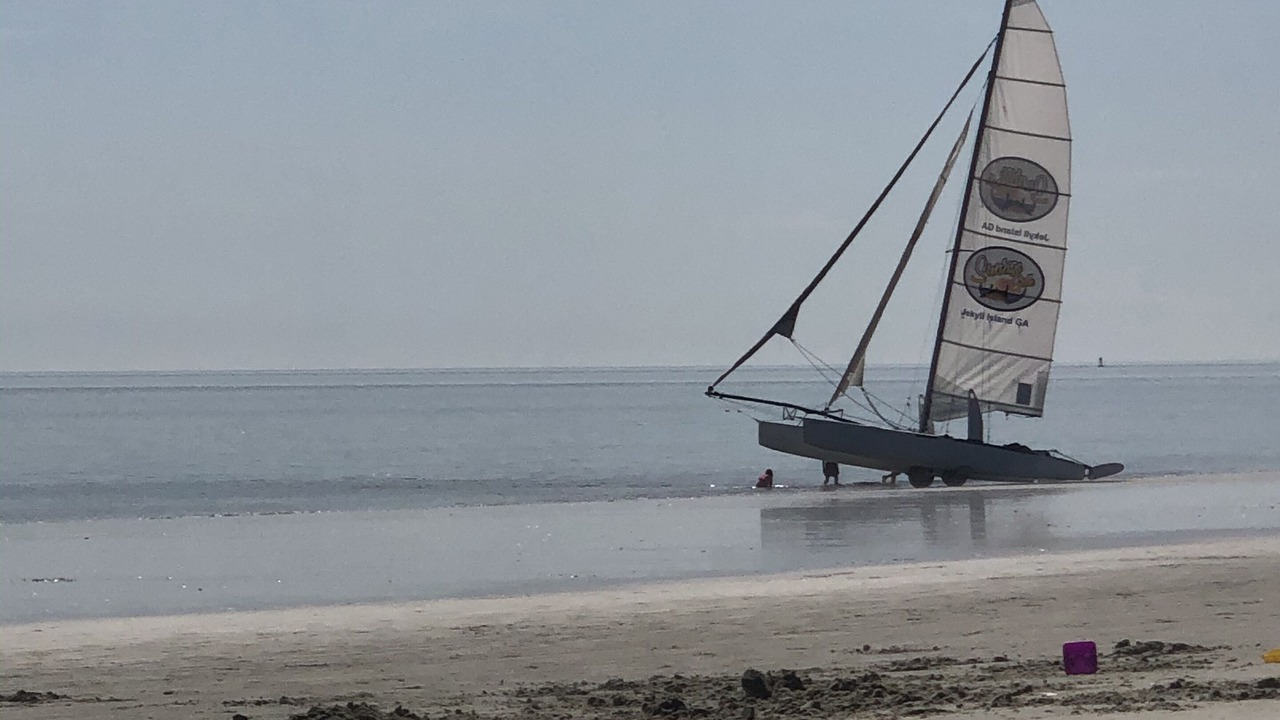 Photo of Others in Saint Simons Island