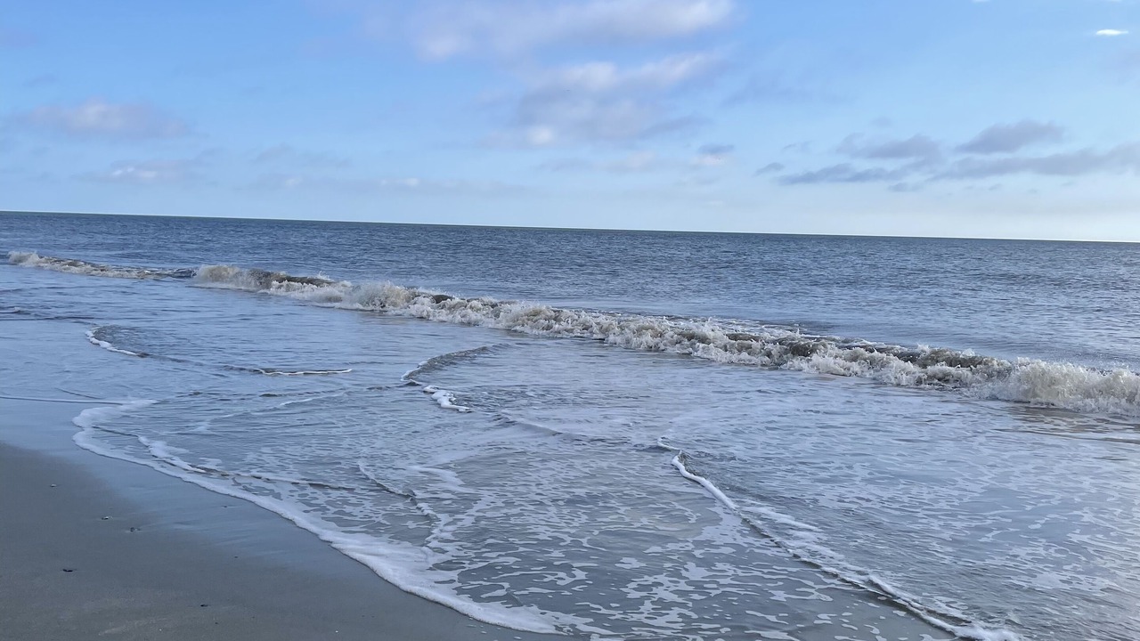 Photo of Others in Saint Simons Island