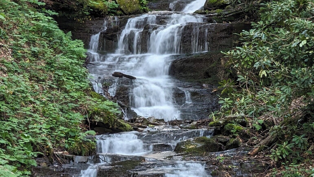 Photo of Outdoor in Waynesville