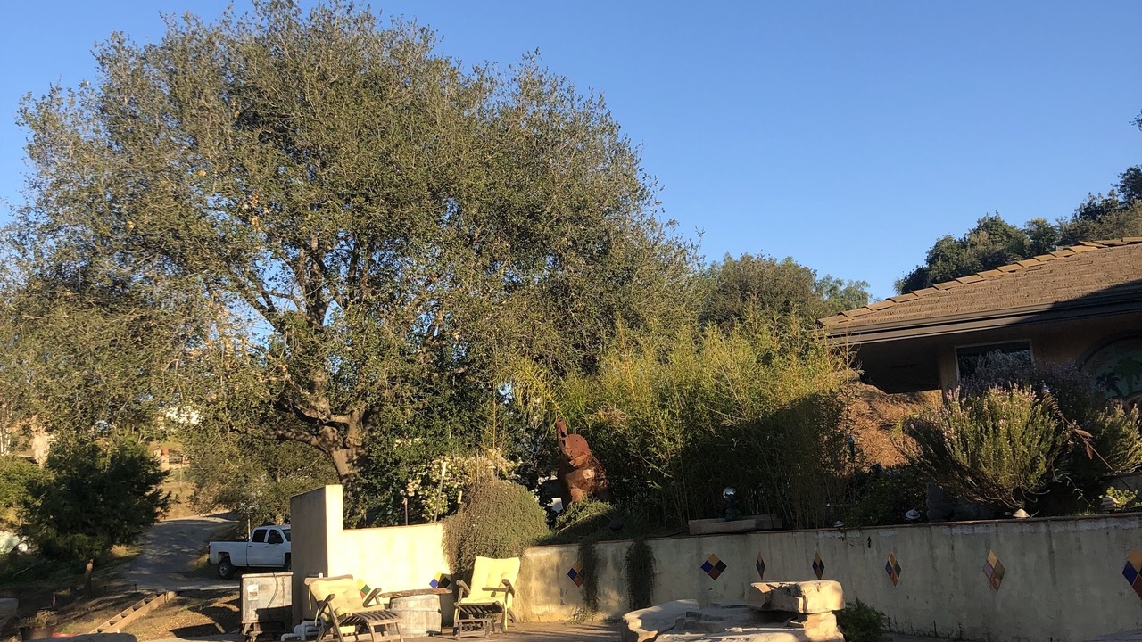 Photo of Others in Fallbrook