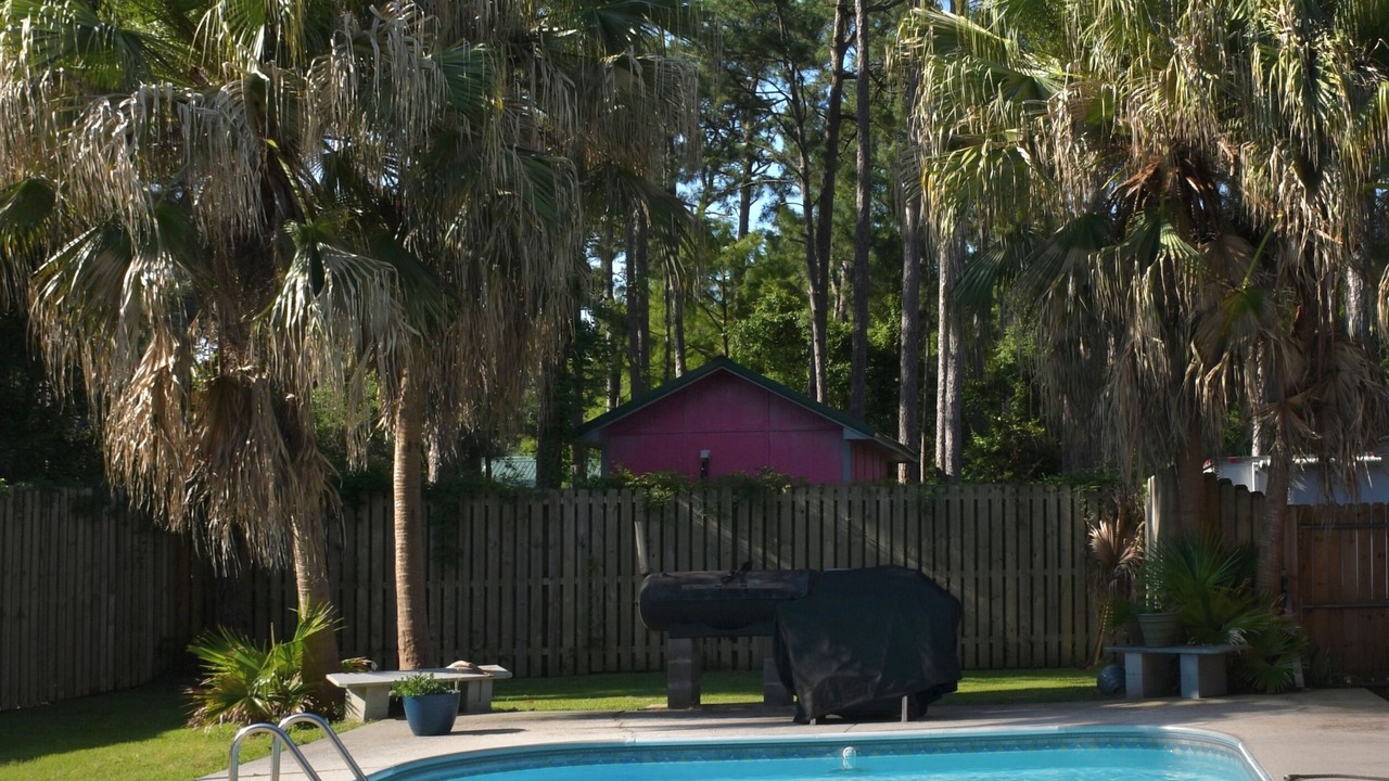 Photo of Outdoor in Dauphin Island