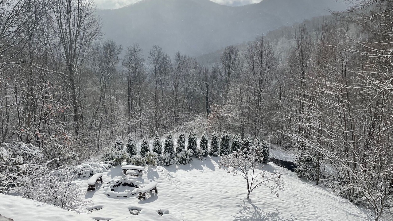 Photo of Others in Maggie Valley