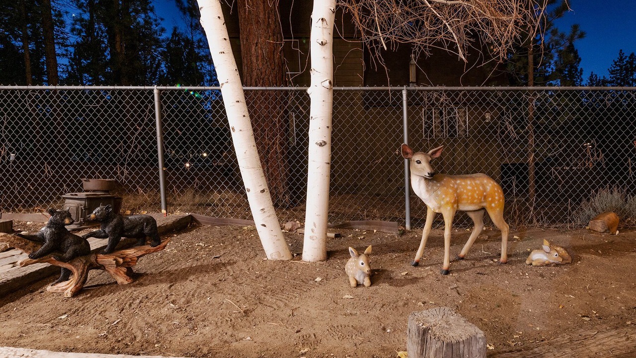 Photo of Others in Fox Farm