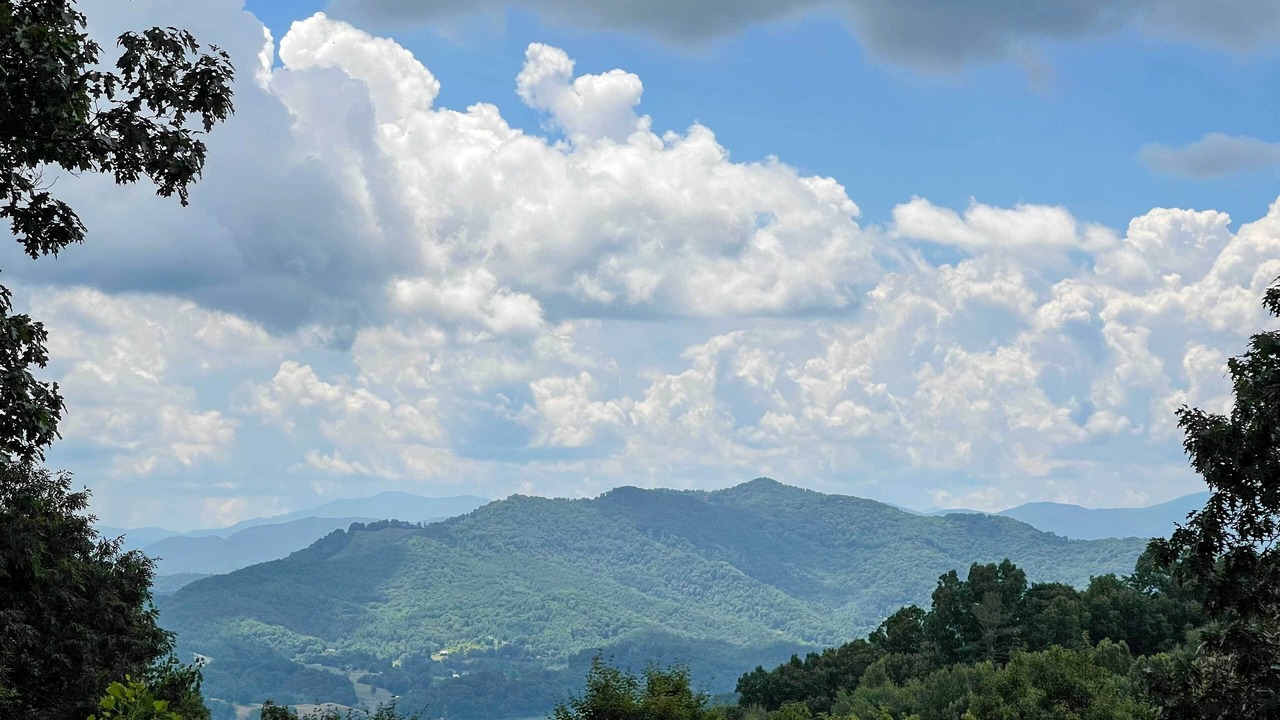 Photo of Others in Waynesville