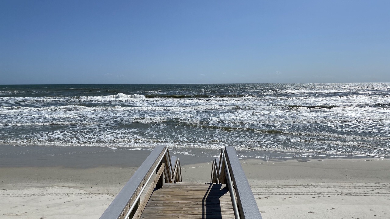 Photo of Others in New Smyrna Beach