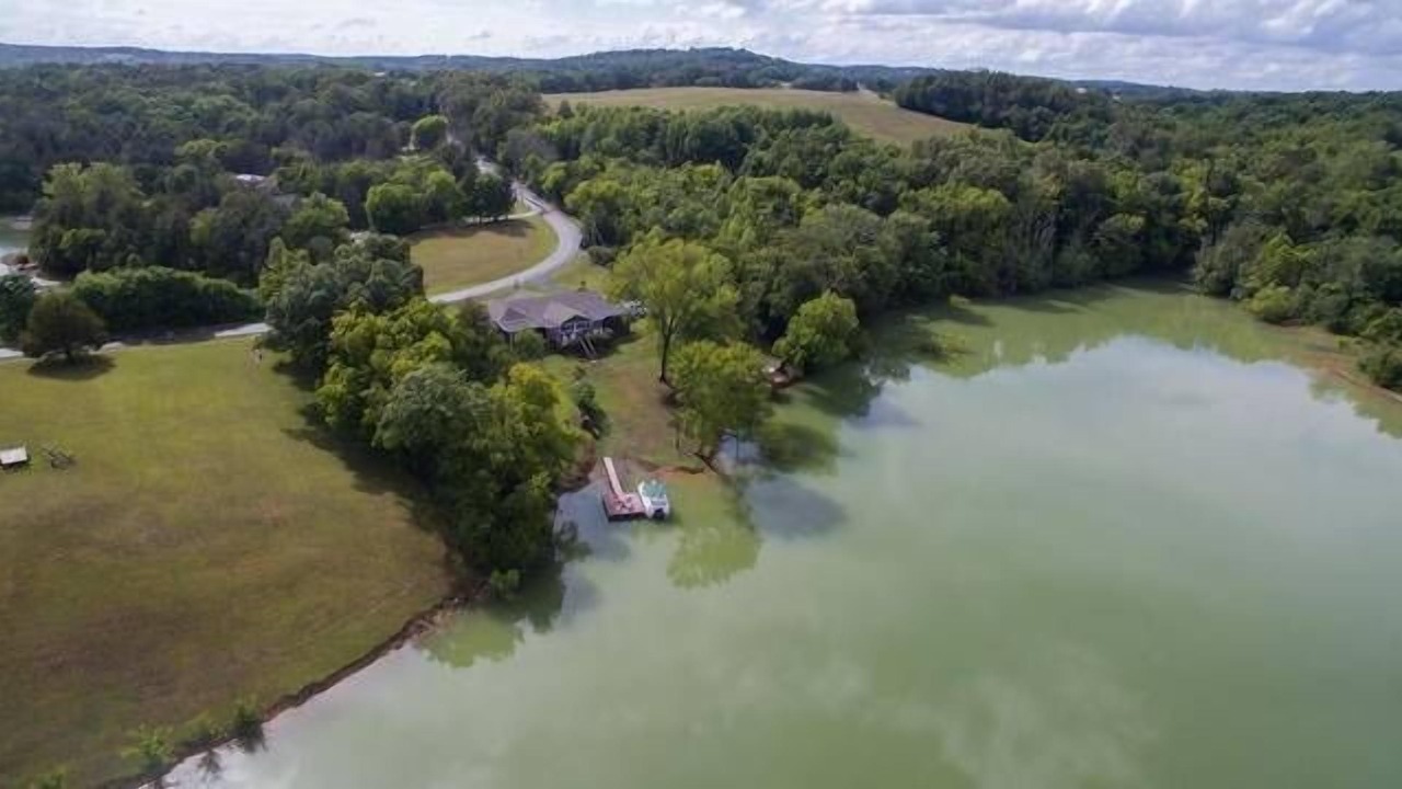 Photo of Outdoor in Dandridge