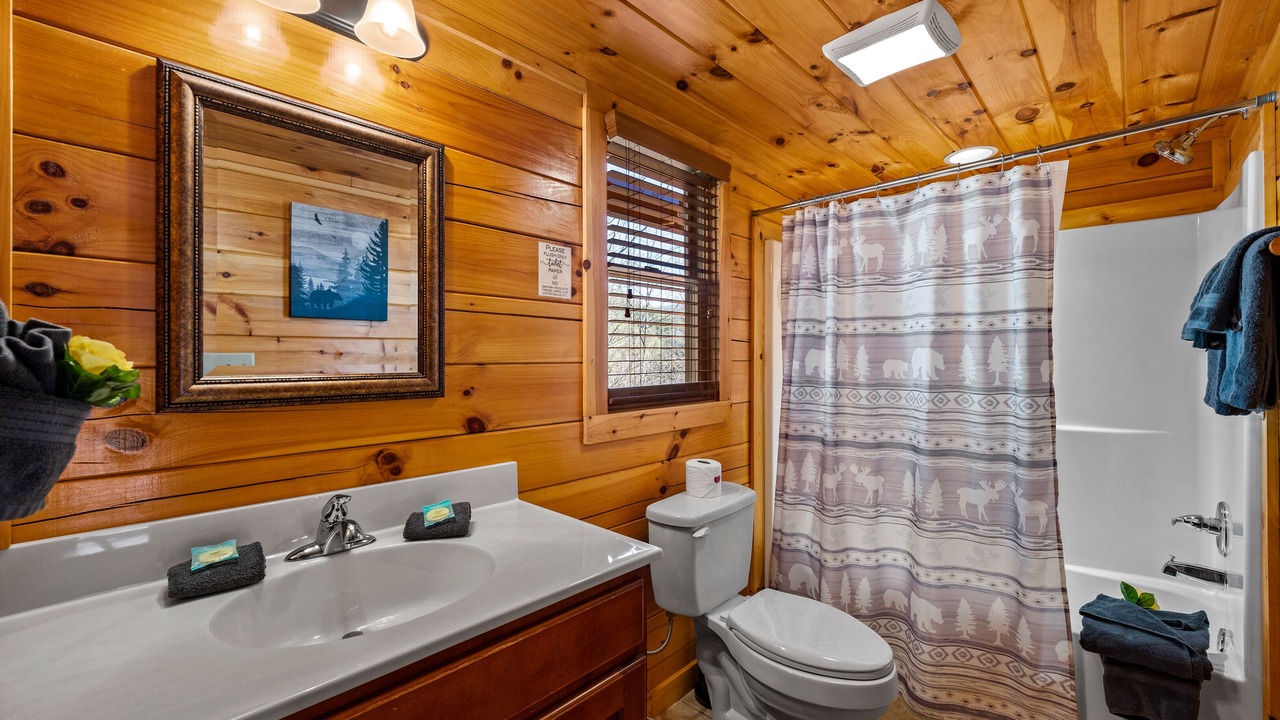 Photo of Bathroom in Sevierville
