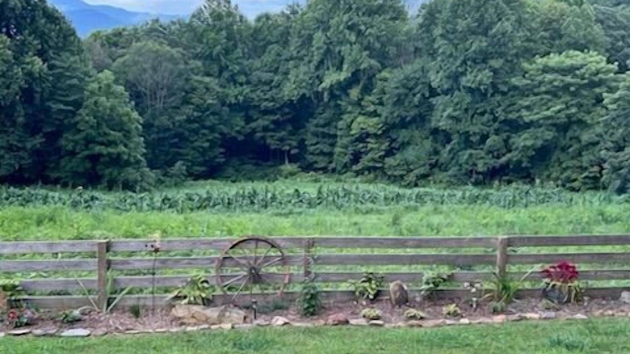 Photo of Others in Hemphill Heights