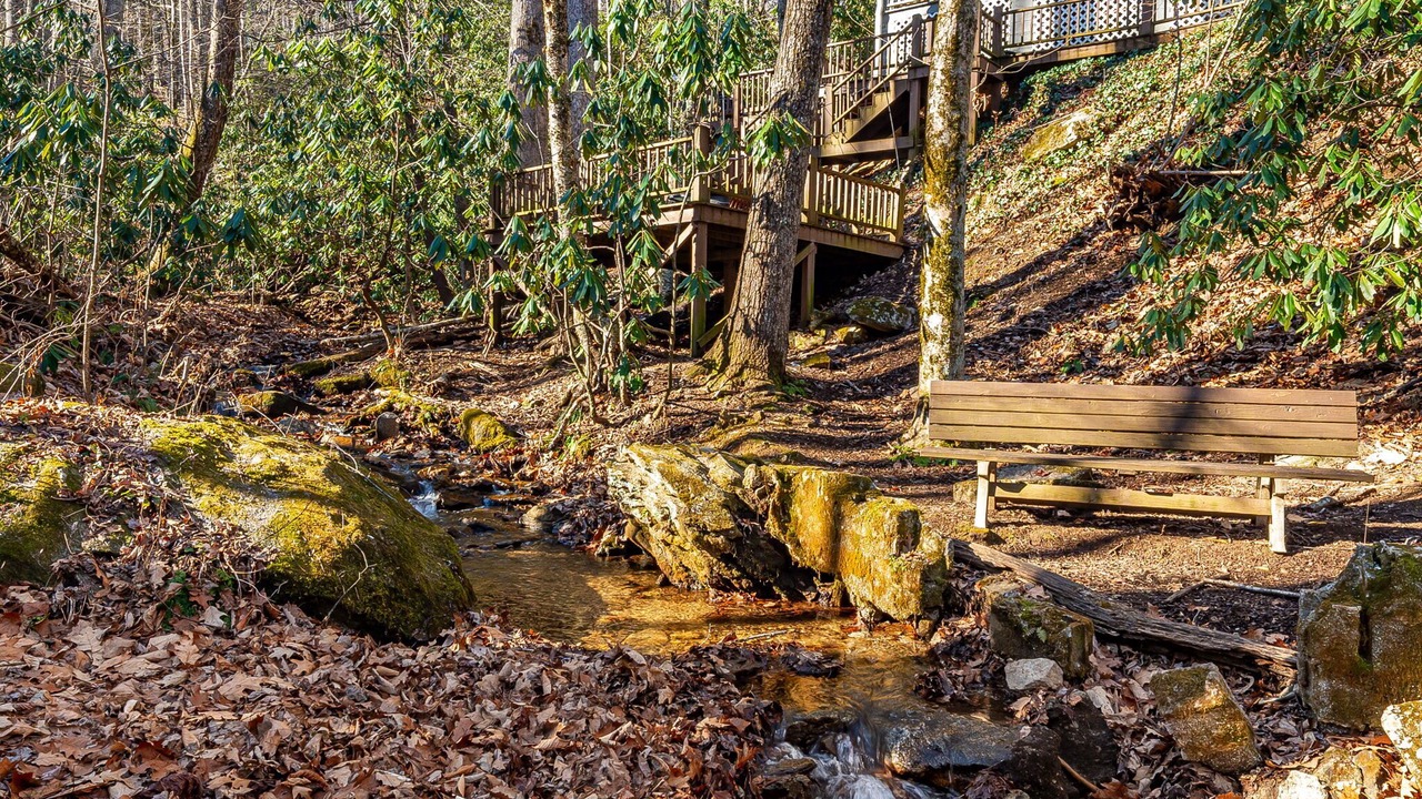 Photo of Outdoor in Maggie Valley