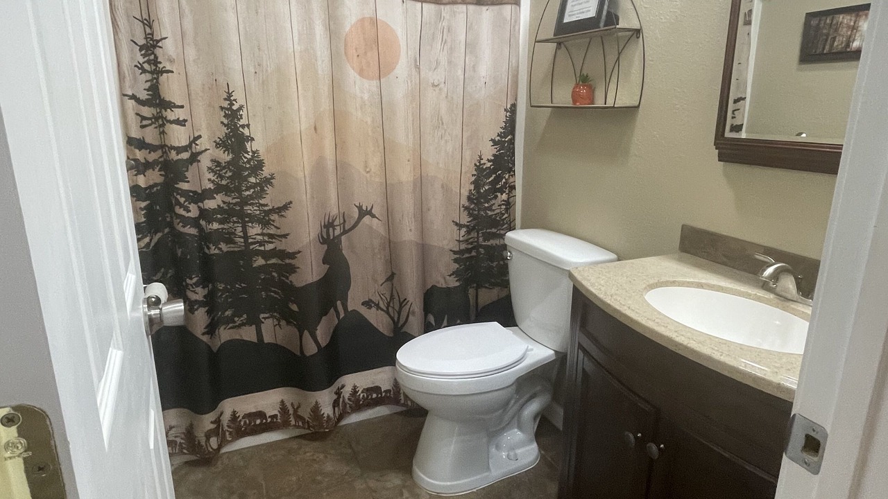 Photo of Bathroom in Sevierville