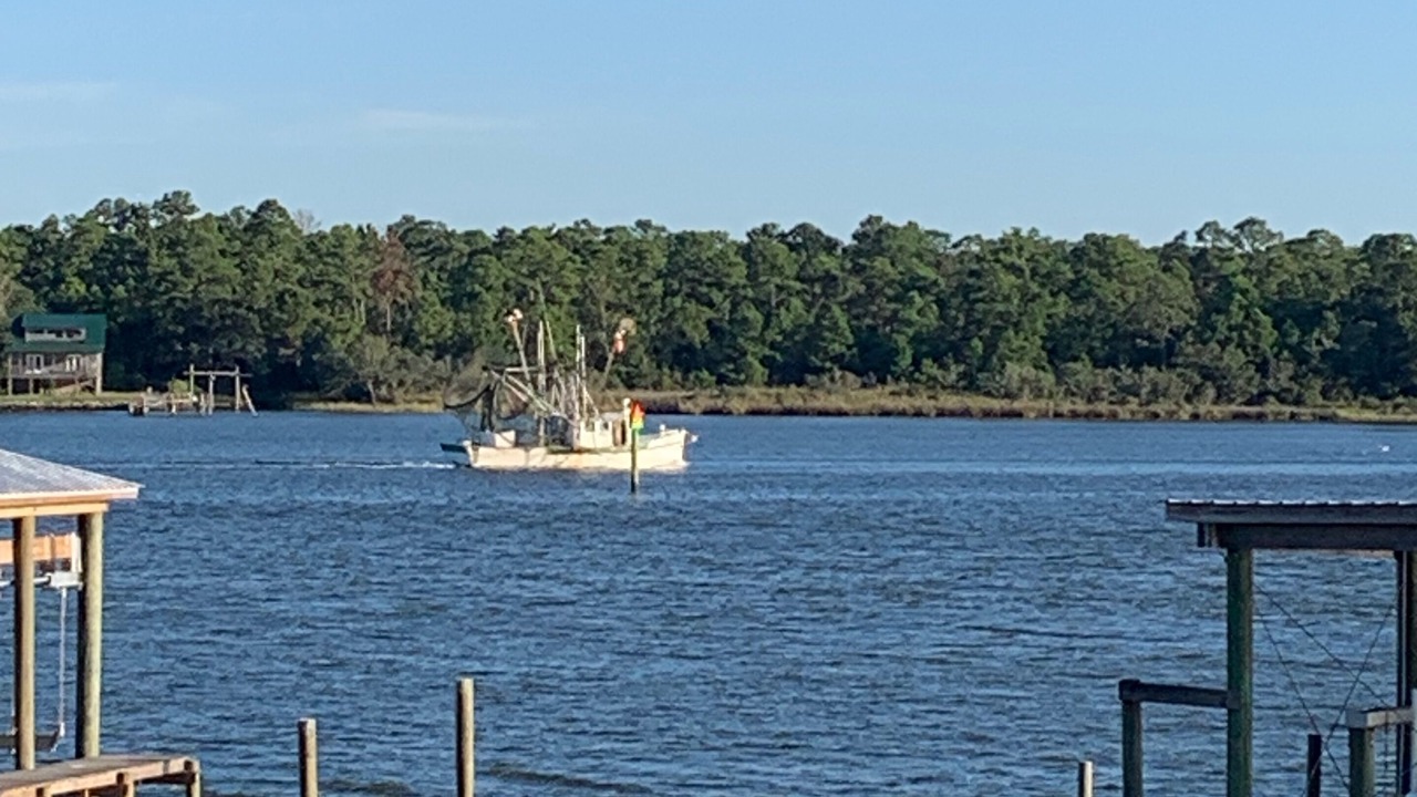 Photo of Others in Gulf Shores