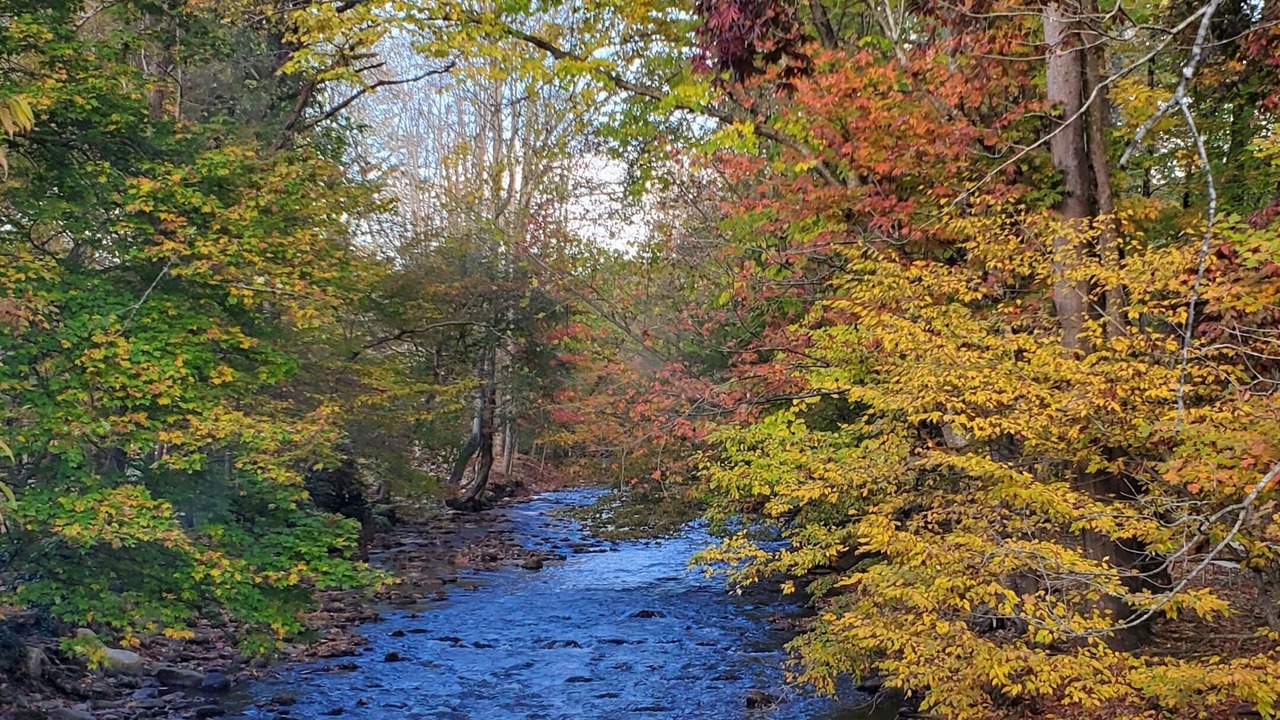 Photo of Outdoor in Maggie Valley