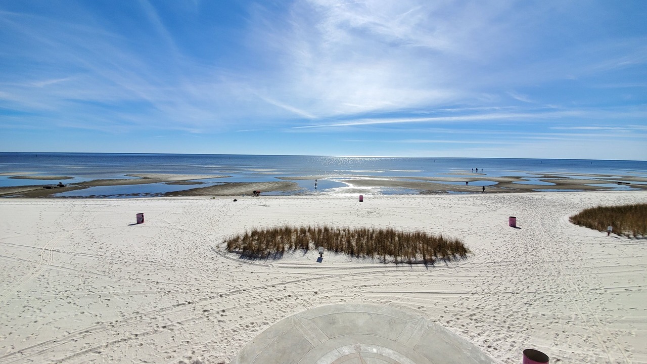 Photo of Others in Biloxi