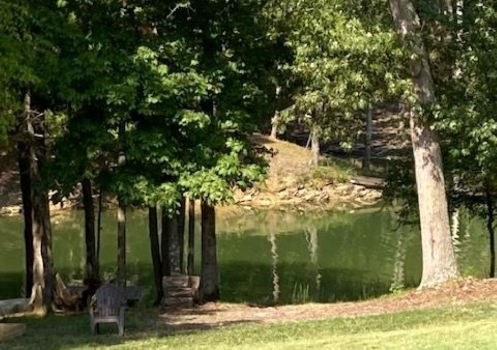 Photo of Others in Dandridge