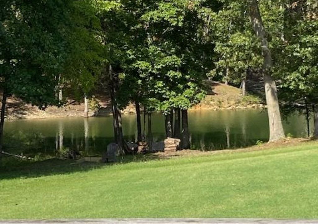 Photo of Outdoor in Dandridge