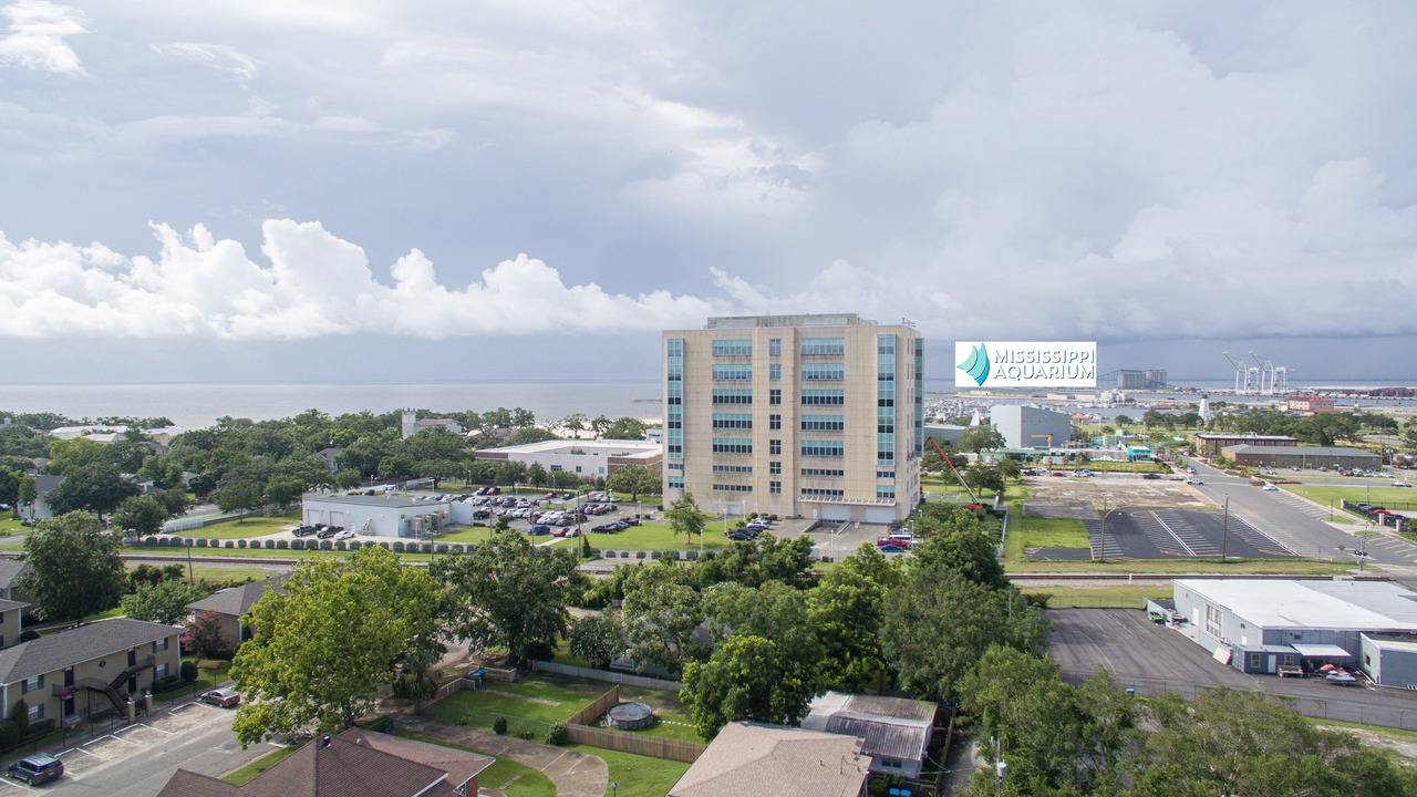 Photo of Others in Gulfport