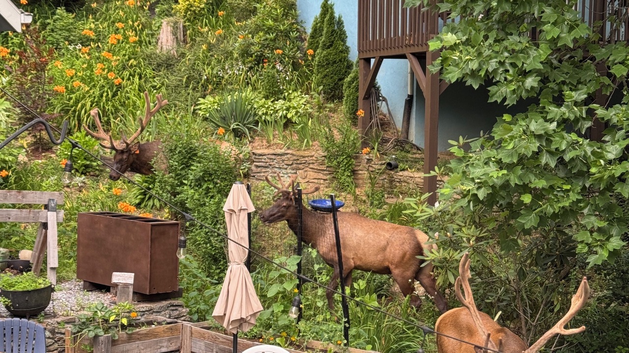 Photo of Outdoor in Valley Creek Run