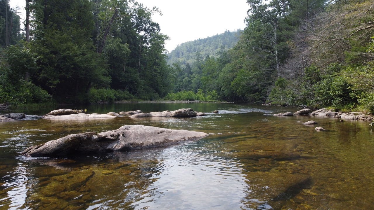 Photo of Others in Mortimer