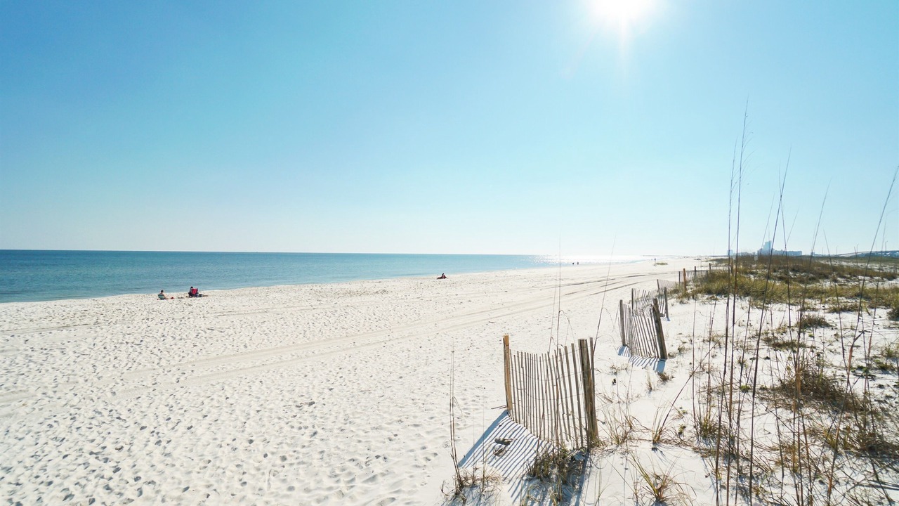 Photo of Others in Orange Beach East