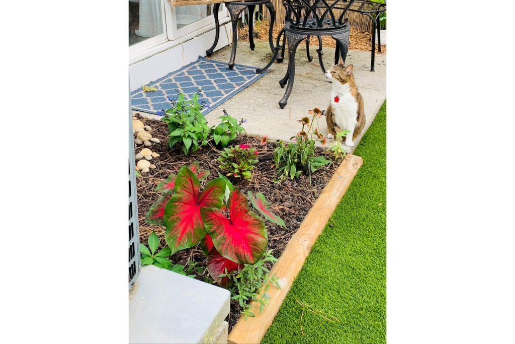 Photo of Outdoor in Charleston