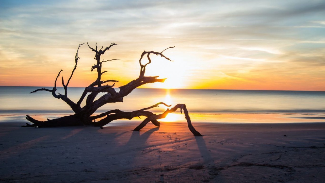 Photo of Others in Jekyll Island