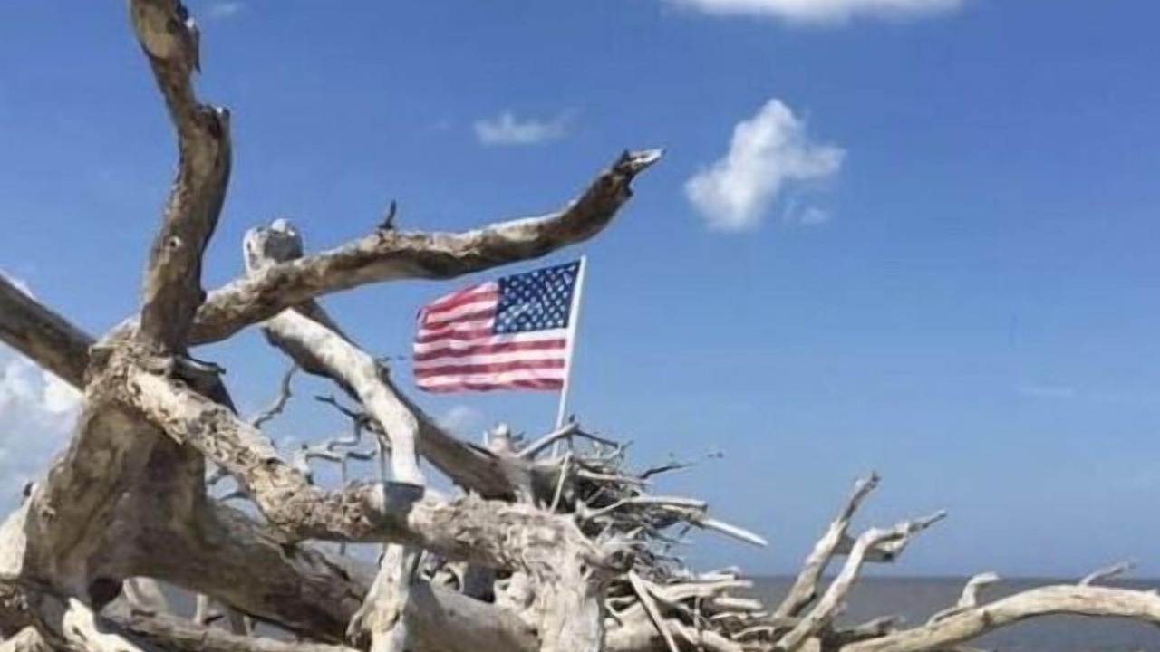 Photo of Others in Jekyll Island