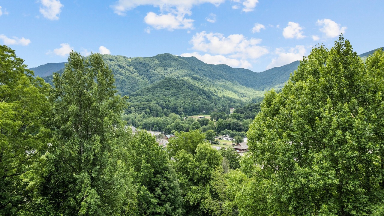 Photo of Others in Maggie Valley