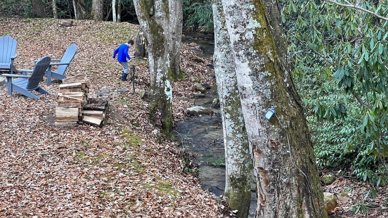 Photo of Others in Waynesville