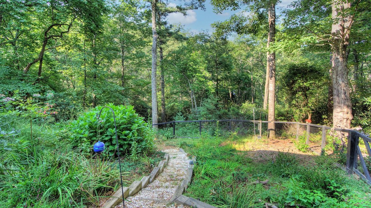 Photo of Outdoor in Lake Toxaway