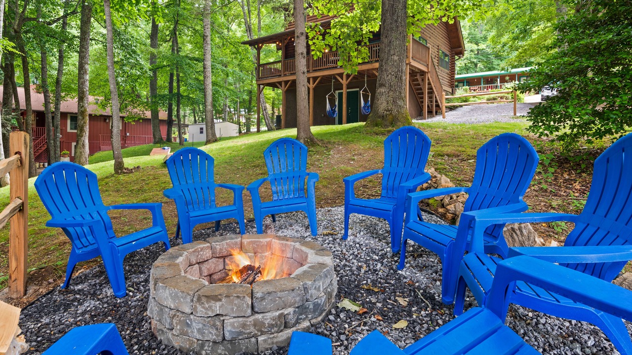 Photo of Outdoor in Sherwood Forest