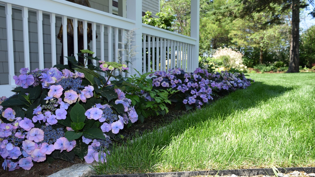 Photo of Outdoor in Tremont