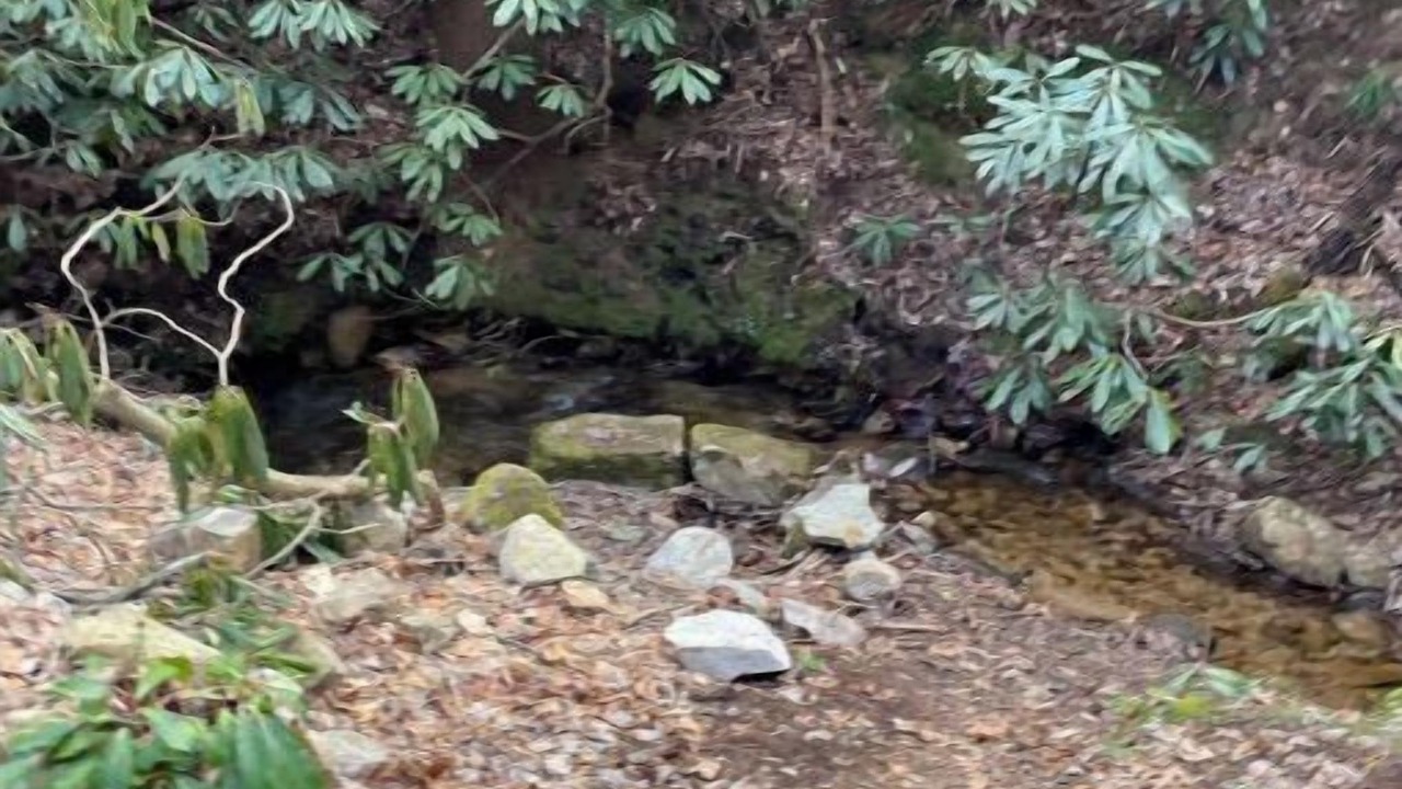 Photo of Outdoor in Hot Springs