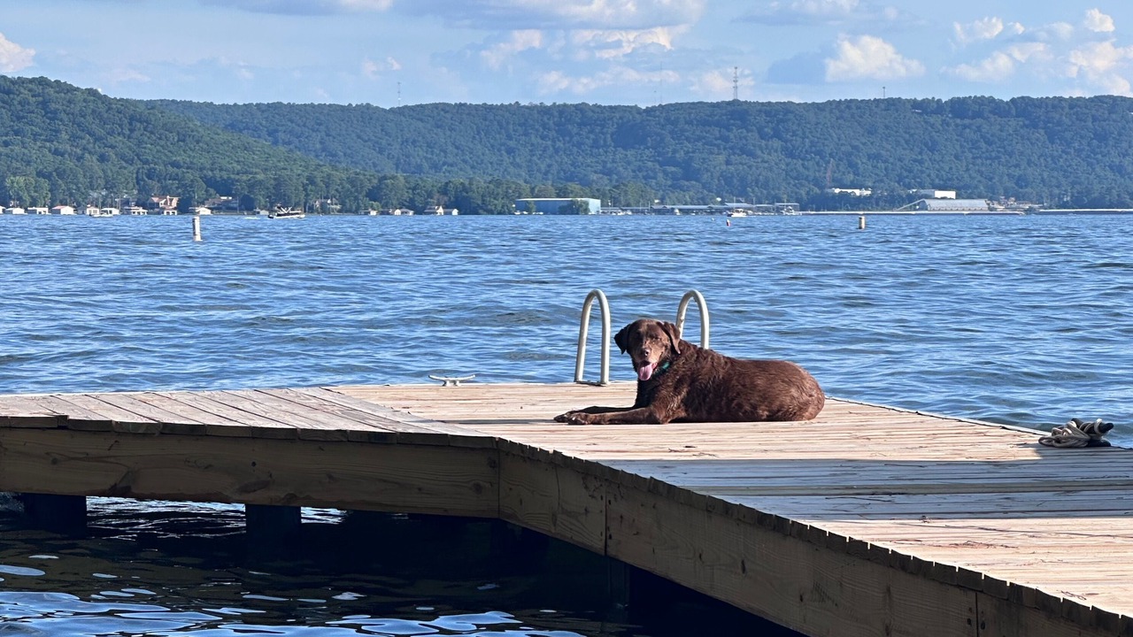 Photo of Outdoor in Guntersville