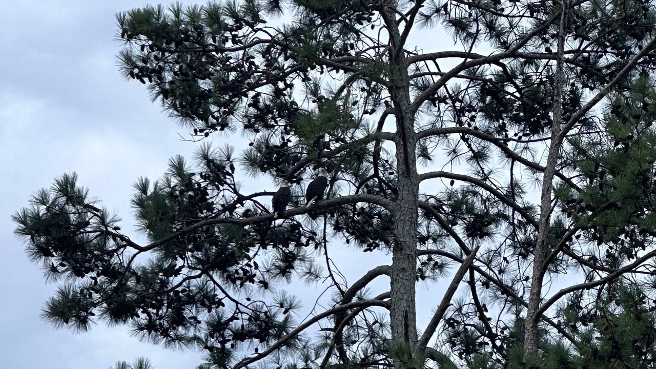Photo of Others in Guntersville