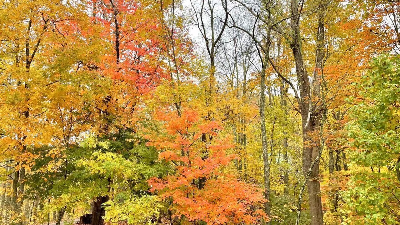 Photo of Outdoor in Mars Hill