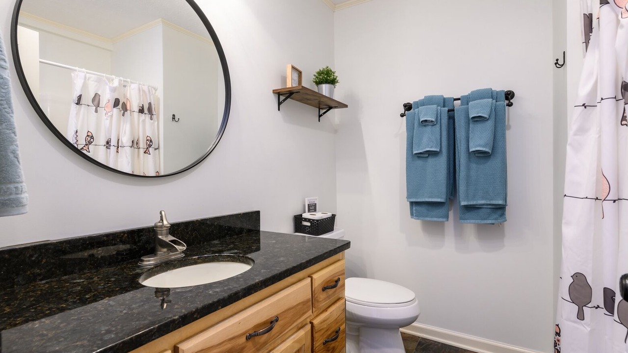 Photo of Bathroom in Mars Hill