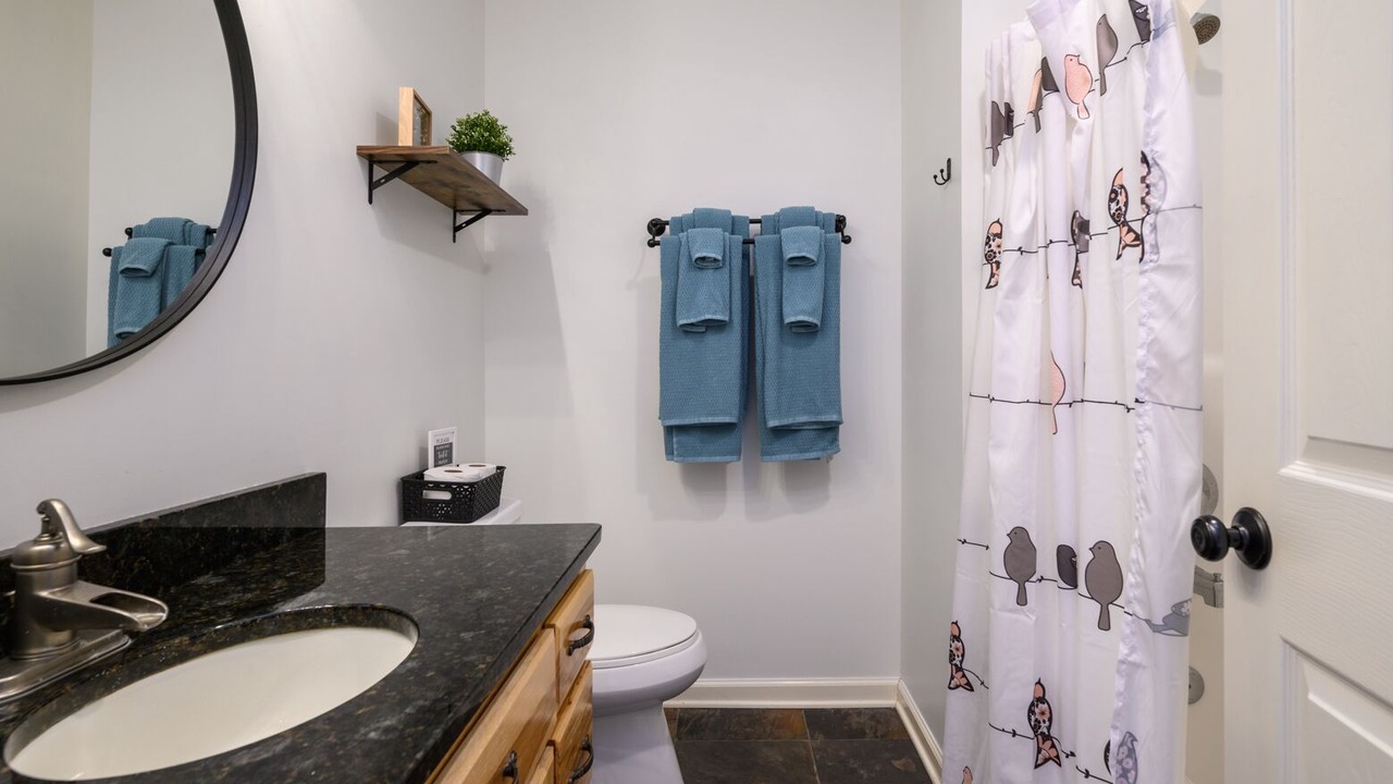 Photo of Bathroom in Mars Hill