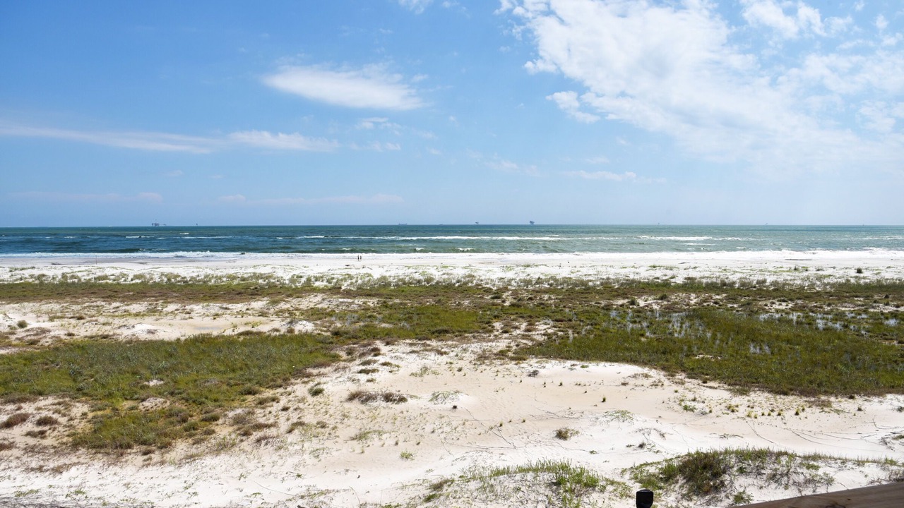 Photo of Others in Dauphin Island
