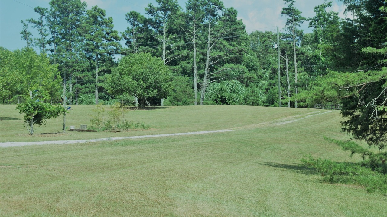 Photo of Outdoor in Chattahoochee Hills