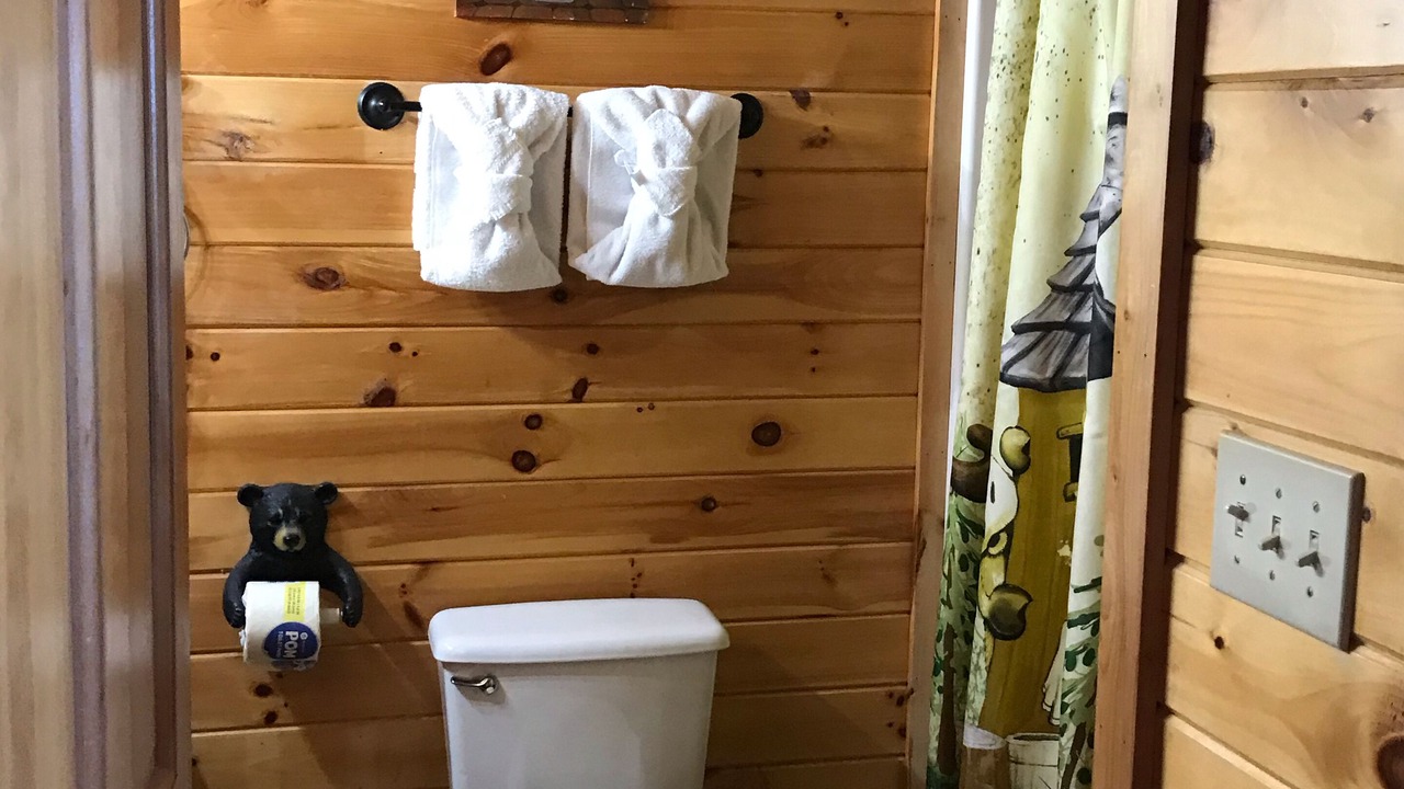 Photo of Bathroom in Sevierville