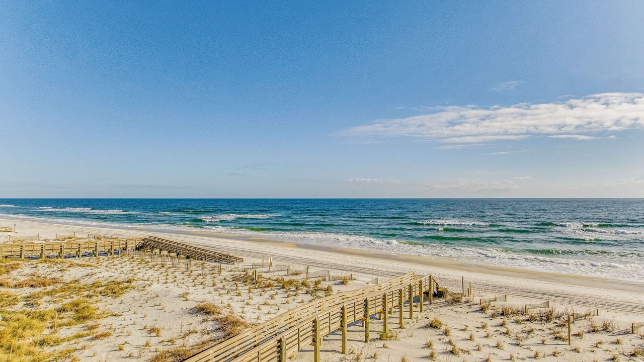 Photo of Others in Orange Beach East