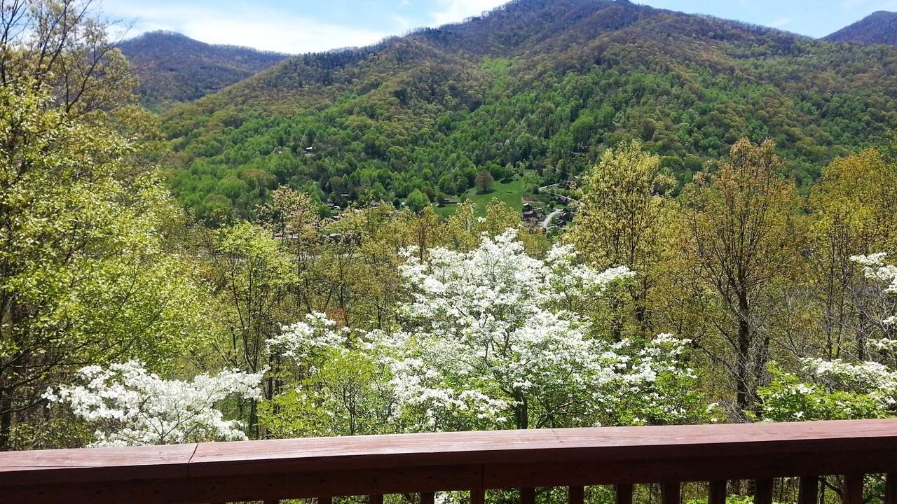 Photo of Outdoor in Maggie Valley