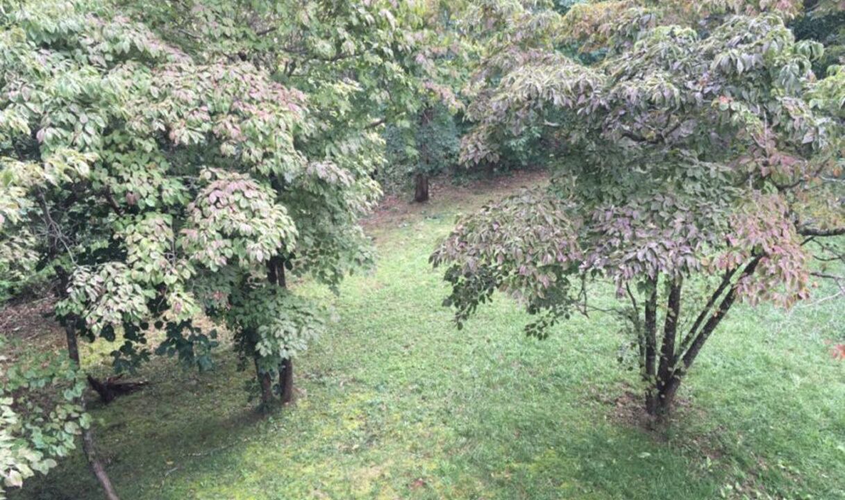 Photo of Outdoor in Maggie Valley