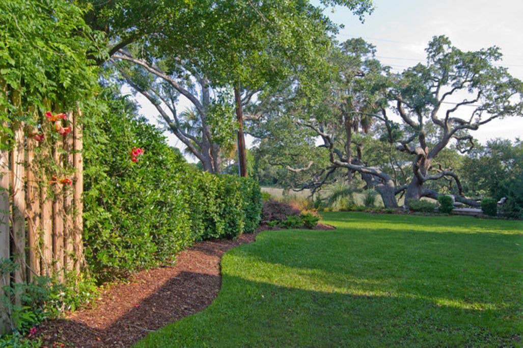 Photo of Outdoor in Charleston