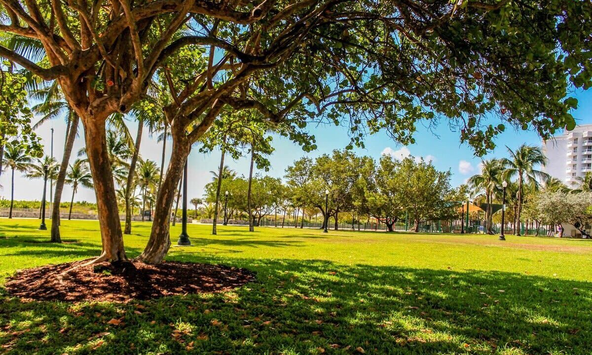 Photo of Outdoor in North Beach