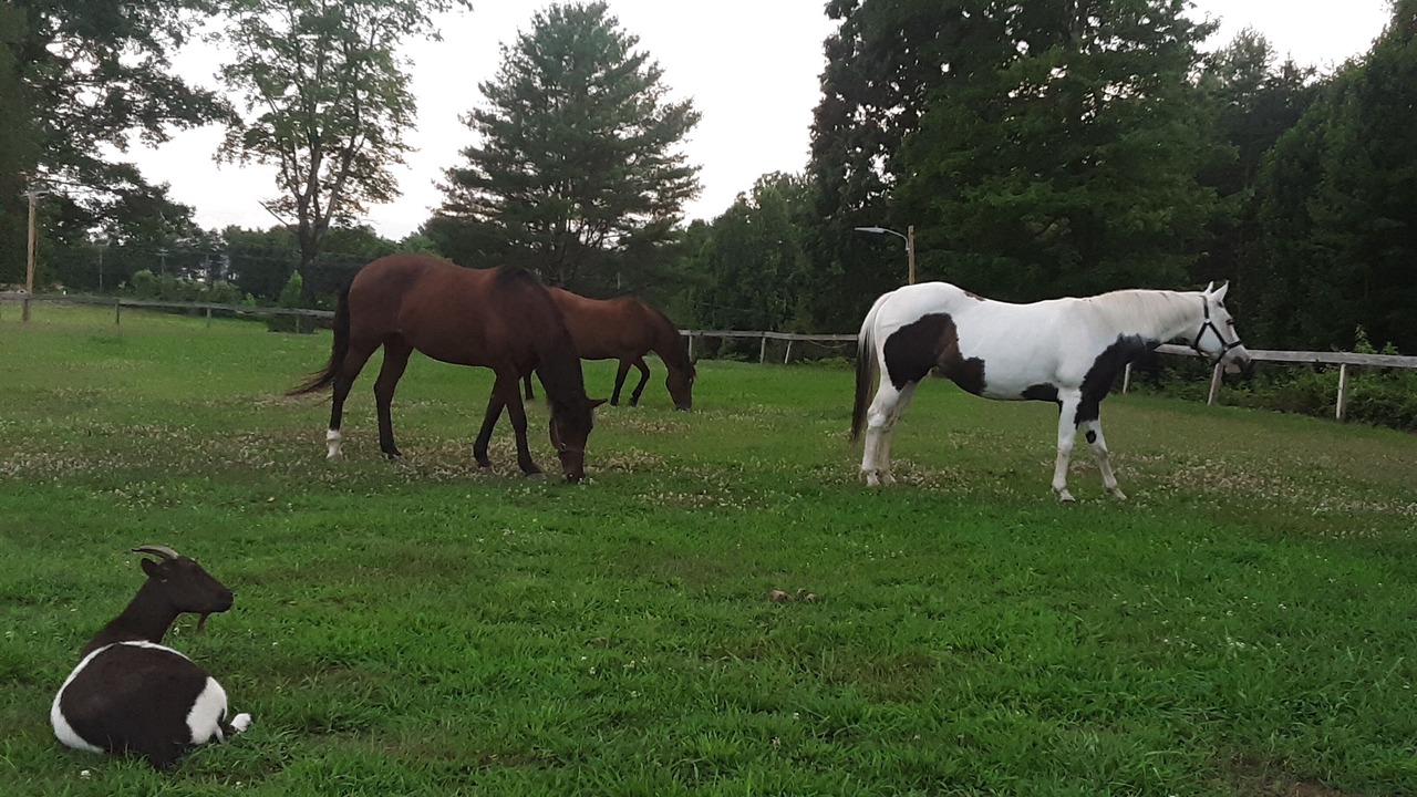 Photo of Outdoor in Morganton