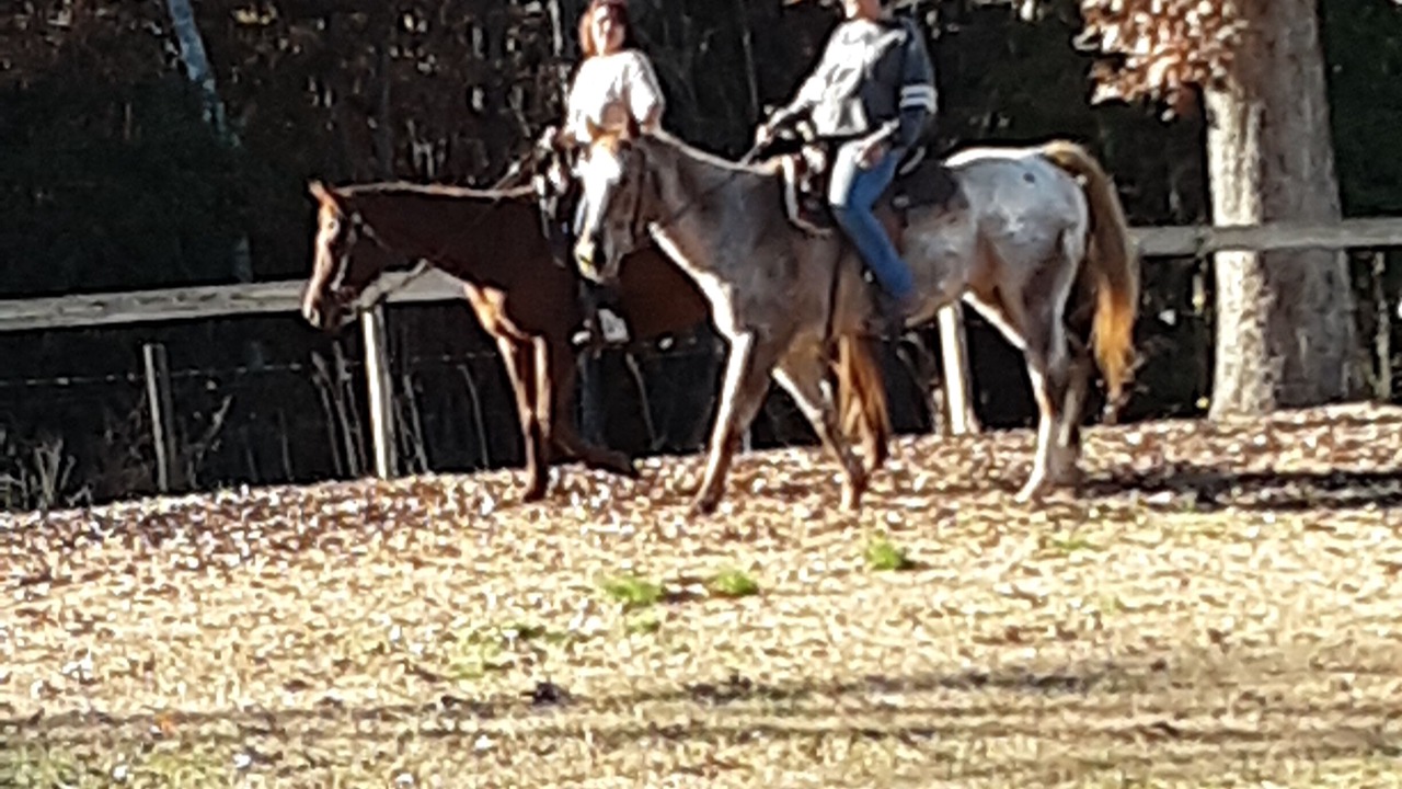 Photo of Outdoor in Morganton