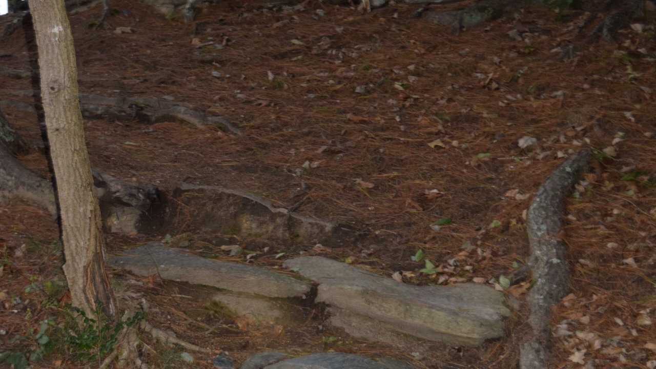 Photo of Outdoor in Marshall